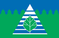 Флаг района Троицк
